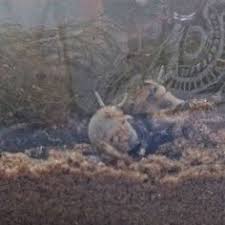 эта девочка танцует но как бы не со мной Nu I Pust Poka Tak I Utrom Bylo 16 Zato Uzhe Greet I Pticy Shebechut Ne Tak Kak Zimoj I Vecherom Vse Svetlee Zhdyom Teplo Ono Uzhe Blizk Shkola Vyazaniya Pinte