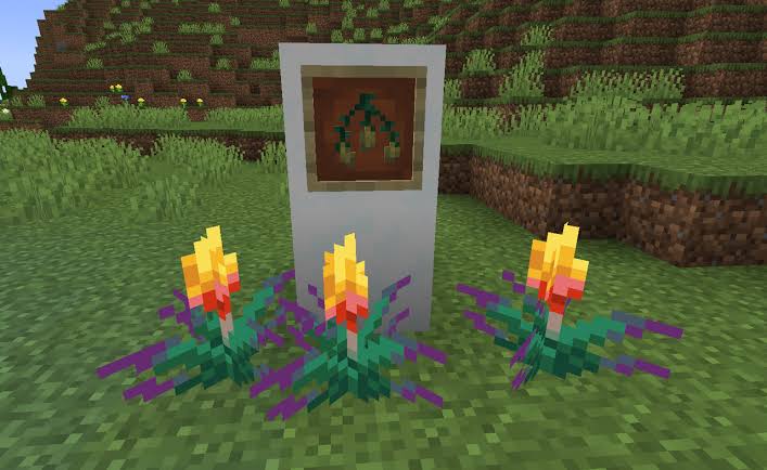 Minecraft Torchflower - Minecraft Guide - IGN