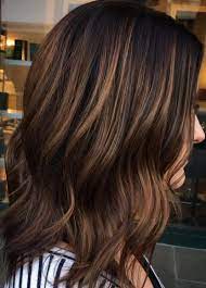Best Hair Color Ideas 2017 2018 Dimensional Brunette Highlights Balayage Straight Hair Brunette Hair Color Hair Styles