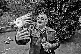 Ruyada Serce Kusu Beslemek Ruyandagor Com