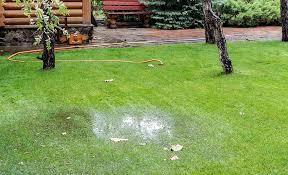 What do i need to level my backyard? Yard Drainage Problems And Solutions The Home Depot