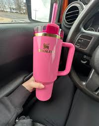 What stores sale Stanley's? I know of Target and DSG only.