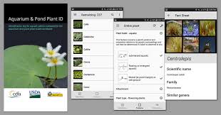 No more searching for plant pictures or browsing databases! Itp Aquarium Pond Plant Id Mobile App Now Available
