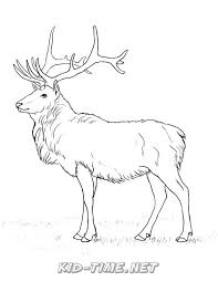 Use your mouse to color online the picture «peary caribou», or print out a black & white coloring sheet and color it with your crayons & paints! Caribou Kids Time Fun Places To Visit And Free Coloring Book Pages Printables Coloring Home