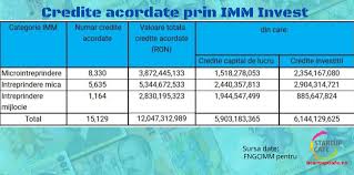 Intreprinderile mici si mijlocii trebuie sa indeplineasca anumite conditii pentru a se putea infiinta in termeni legali. Rezultate Imm Invest In 5 Grafice