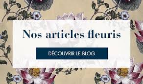 Fleuriste Livraison En France Monceau Fleurs