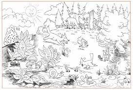 Desenho De Floresta Com Animais Para Colorir Tudodesenhos
