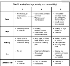 Image result for FLACC Scale