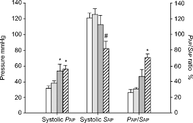 The Role Of Increased Pulmonary Blood Flow In Pulmonary