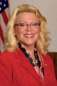 Candidate profiles: New Milford mayor