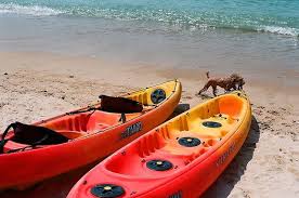 Once your dog has a good grasp of the commands, start first by introducing your canine to the kayak away from the water. How To Kayak With Your Dog 10 Tips On Kayaking With A Dog