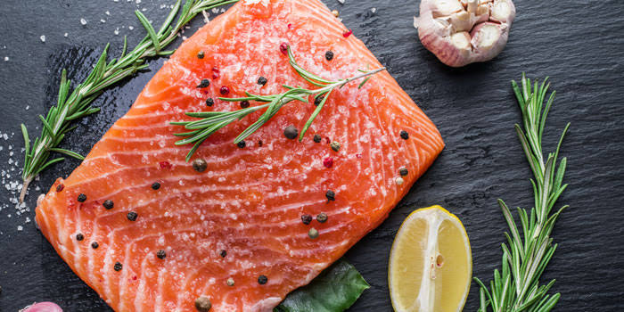 Salmon