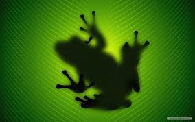 Currently there are 50,919 wallpapers and 351,379 scans. Cute Frog Frogs Wallpaper 39487733 Fanpop