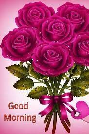 Good Morning Morning Good Morning Morning Quotes Good Morning Quotes Good Morning Greetings Good Morning Flowers Good Morning Picture Morning Pictures