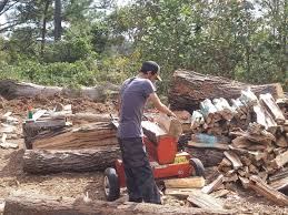 70% hardwood and 30% softwood. 3m Tree Service Firewood Pro Home Facebook
