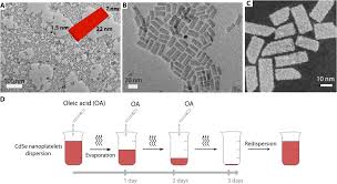 This pair of enantiomer was separated on a chiral cyclodextrin capillary column and detected by ion trap mass spectrometry. Ligand Induced Twisting Of Nanoplatelets And Their Self Assembly Into Chiral Ribbons Science Advances