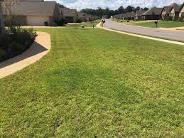 If you live in the right climate, centipede grass can make a great lawn and is very easy to maintain. Newbie W Centipede Lawn Much Help Needed The Lawn Forum