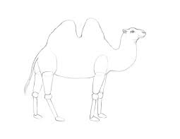Learn how to draw a camel. How To Draw A Camel