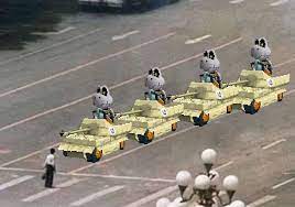 Place 1st in 50cc star cup or play 750 total races: Mario Kart Ds I Saw Dry Bones Had A Tank And Knew It Looked Familiar Mariokart