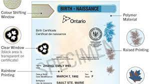 Delays In Birth, Death, Marriage Certificates Caused By High Demand, Online  Issues | Ctv News