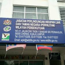 Jabatan Perlindungan Hidupan Liar Dan Taman Negara Department Of Wildlife National Parks Perhilitan Predio Do Governo Em Cheras