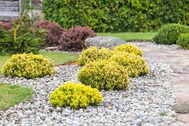 I would like to know how to lay gravel over a section of grass in my back yard which is currently a boggy mess. How To Replace Grass With Rocks A Step By Step Guide Parsons Rocks