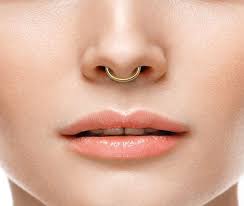 What Does A Septum Piercing Say About You Piercinghome Faux Septum Ring Septum Piercing Faux Septum