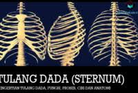 Saya menanti tulang rusuk kiri untuk memasakkan sup tulang untuk saya. kepada bakal imamku, aku sedia menunggumu hingga ke pintu kubur. menyampah tahu. Tulang Rusuk Jodoh