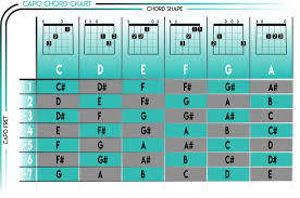 Described Chord Capo Transposition Chart Guitar Transpose