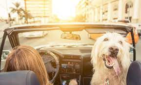 Here we highlight the best car insurance companies in california for various services, based on a survey of current policyholders. Best Cheap Car Insurance In California For 2021 Nerdwallet
