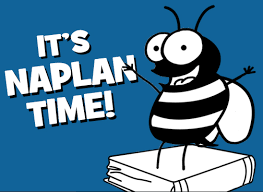 See the improvement from literacyplanet. Naplan 2018 Year 5 Maroon