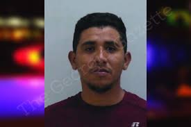 Luis Palencia Vargas — Bartow County Jail Bookings