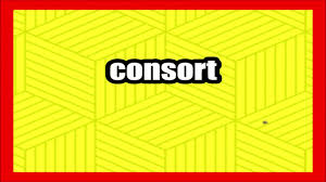 From the gnu version of the collaborative international dictionary of. Meaning Of Consort Youtube