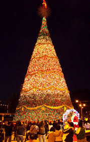 Guatemala City Christmas Tree Lighting This Is So On My Bucket List Christmas Worldwide Christmas In The City Guatemala