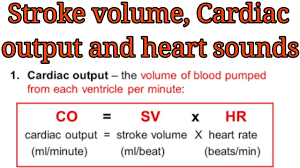 Using the fick principle's equation of (cardiac output = oxygen. Stroke Volume Cardiac Output And Heart Sounds Lub And Dub Youtube