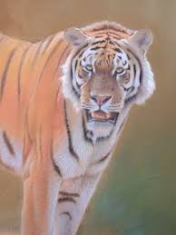 Ein Tiger Am Wasser Tiere Zeichnen Pastellzeichnung Eric Wilson Wie Malt Man De Zeichnen Lernen Malen Lernen Online Malkurs Mit Acryl Und Olfarbe Malenwie Malt Man De Zeichnen Lernen Malen Lernen Online Malkurs Mit Acryl Und Olfarbe Malen