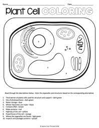 Plant cell coloring questions answer key. Plant Cell Coloring Worksheet For Review Or Assessment Tpt