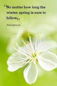 Pin On Our Favorite Quotes