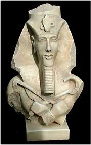 Image result for Monothecium