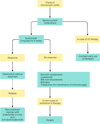 Image result for Microscopic Colitis