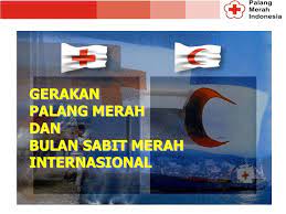 Anemia sel sabit terjadi karena kerusakan genetik pada gen pembentuk hemoglobin dalam darah bayi. Gerakan Palang Merah Dan Bulan Sabit Merah Internasional Ppt Download
