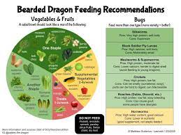 We did not find results for: Suddenly Refuses Salad Bearded Dragon Org