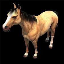Camels are a mammal of the camelidae family. Horse Age Of Empires Series Wiki Fandom