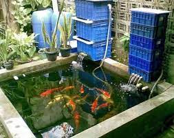 Itulah beberapa inspirasi model dan desain kolam ikan koi minimalis yang bisa menenangkan pikiranmu. Adem 21 Model Kolam Ikan Ukuran Mini Ini Cocok Untuk Teras Depan Rumah