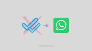 Berikut cara menghilangkan centang biru di whatsapp. 2 Cara Menghilangkan Centang Biru Di Whatsapp Bisa Untuk Grup