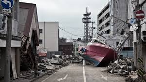 Rems merupakan satuan dari kekuatan radioaktif. Potret Kehidupan Hewan Liar Di Area Bekas Bencana Nuklir Fukushima Kumparan Com