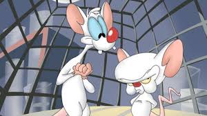You can tell the difference quite easily. 13 Fun Facts About Pinky And The Brain Mental Floss