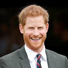 Prince Harry has got a new job at a Silicon Valley start-up