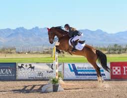 Olympic equestrian events consist of both individual and team competitions across three events— dressage, eventing, and jumping. Equestrian Jumping Olympics Tickets Reisen Buchen Sie Bei P1 Travel