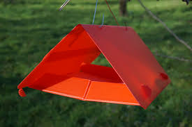 Image result for Lobesia botrana grapevine